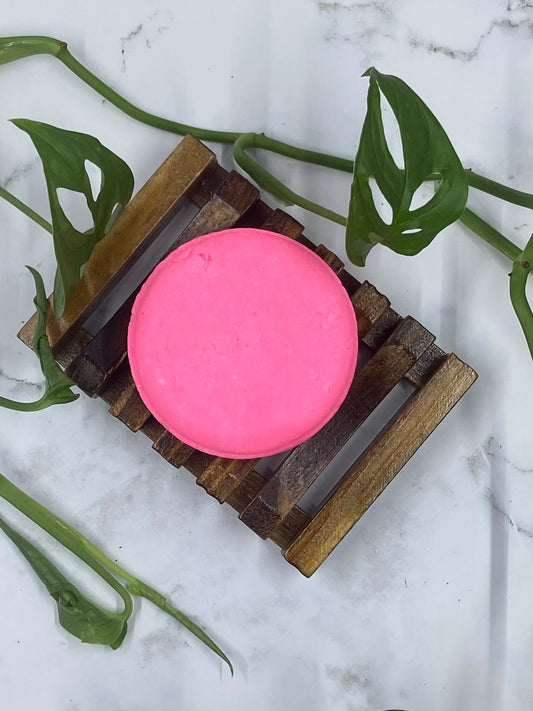 Dragonfruit and Hibiscus Solid Shampoo