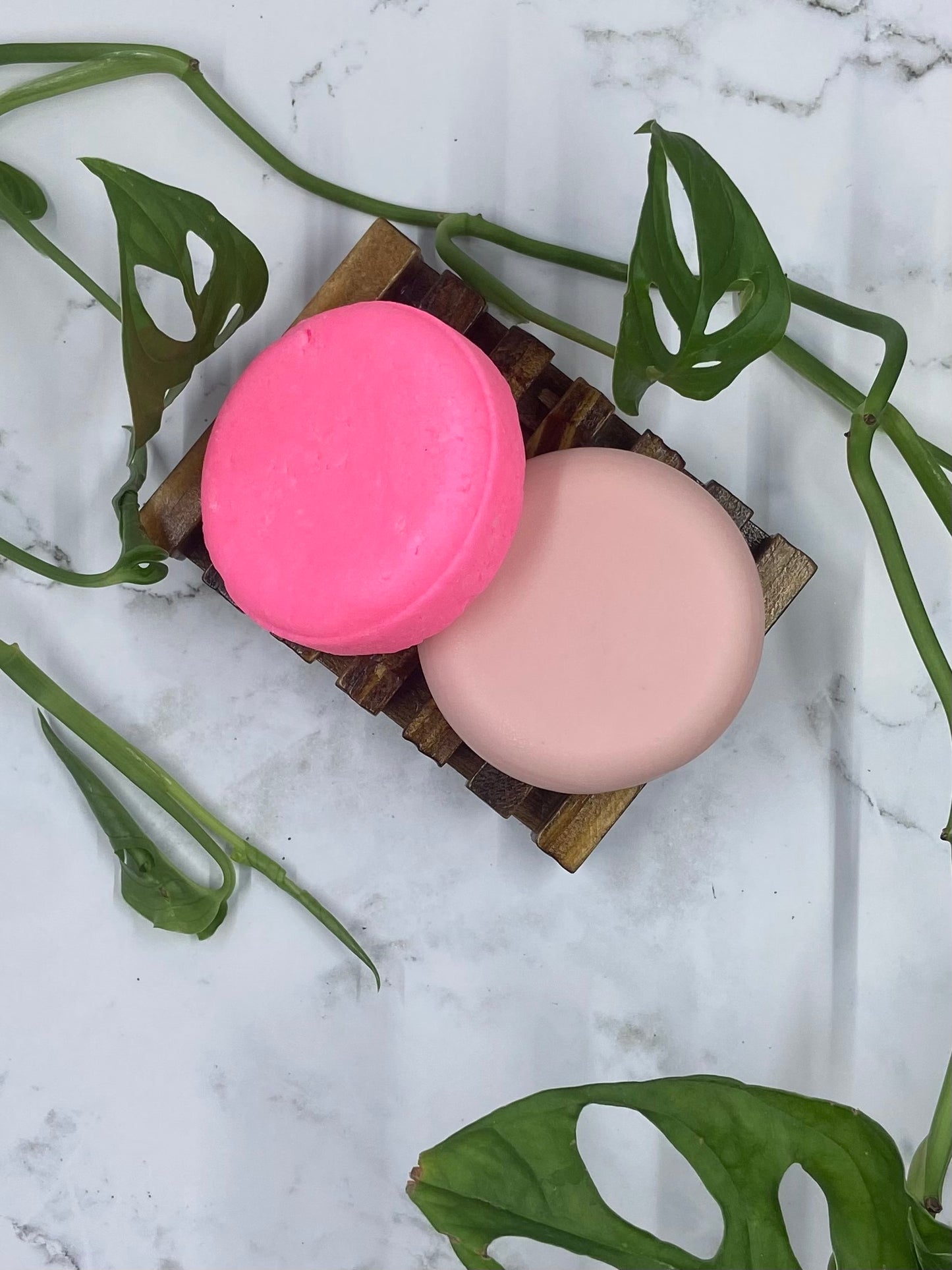 Dragonfruit and Hibiscus Solid Shampoo